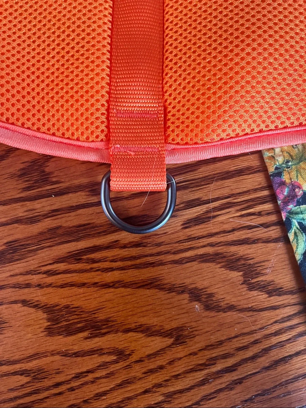 Halloween Pumpkin Dog Harness with reflective pumpkin features Large
